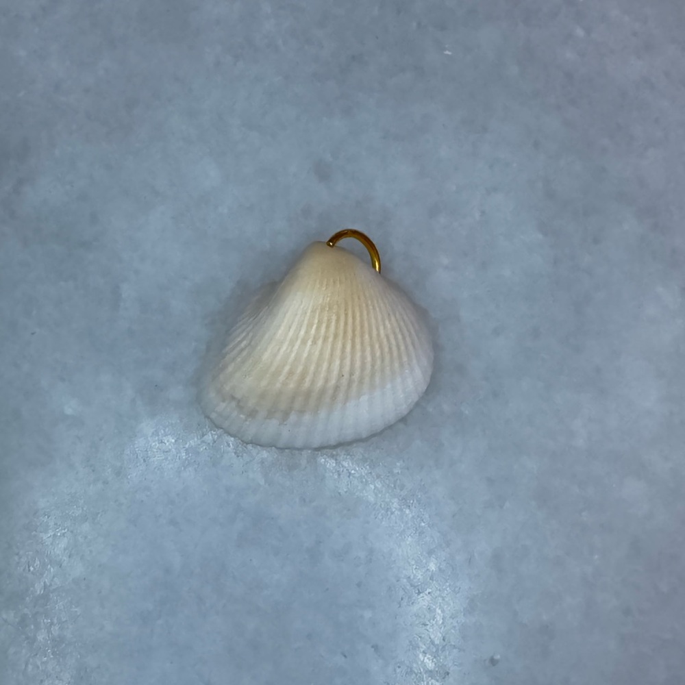 White & Cream Seashell Pendant